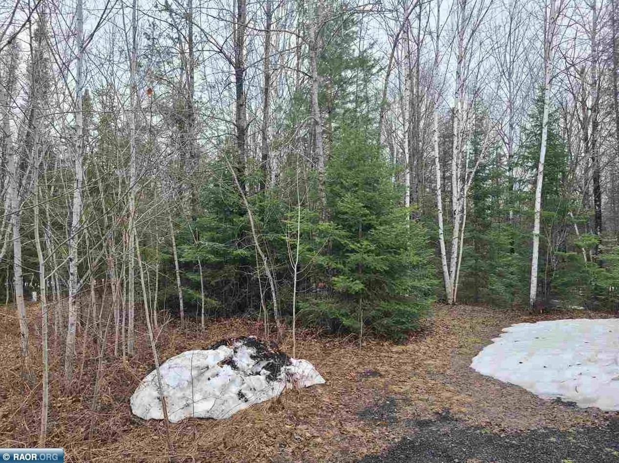 7388 Ely Lake Dr, Fayal, MN 55734