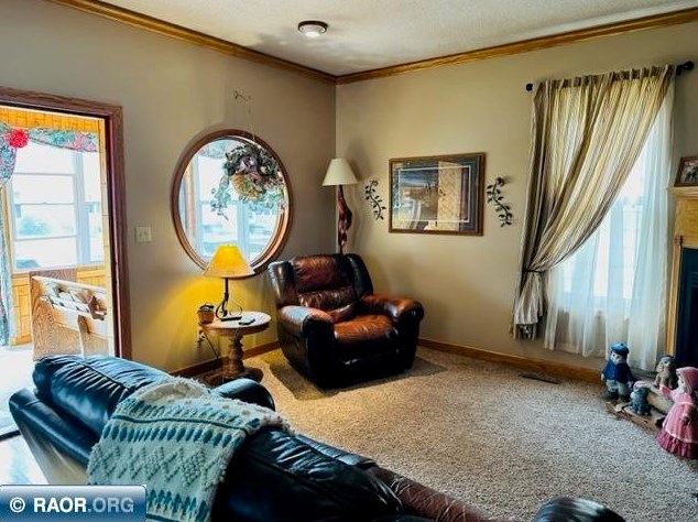 119 S 12th St, Virginia, MN 55792