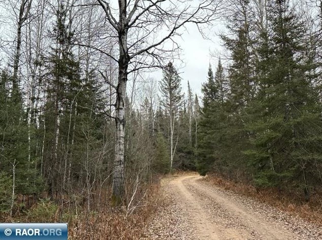 3501 Highway 21, Embarrass, MN 55732-8017