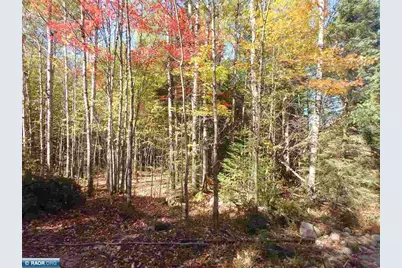 Tbd Vermilion Lake Road, Cook, MN 55723 - Photo 10