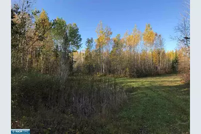 1961 Town Road 118, Birchdale, MN 56629 - Photo 20