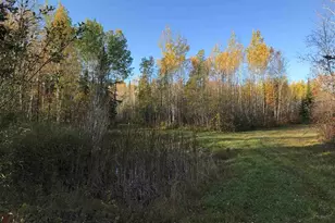 1961 Town Road 118, Birchdale, MN 56629 - Photo 20