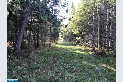 1961 Town Road 118, Birchdale, MN 56629 - Photo 18