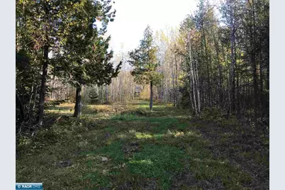 1961 Town Road 118, Birchdale, MN 56629 - Photo 14