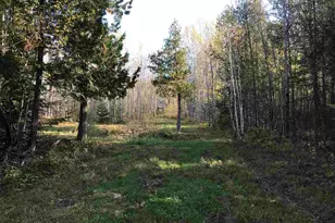 1961 Town Road 118, Birchdale, MN 56629 - Photo 14