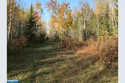 1961 Town Road 118, Birchdale, MN 56629 - Photo 2