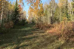 1961 Town Road 118, Birchdale, MN 56629 - Photo 2