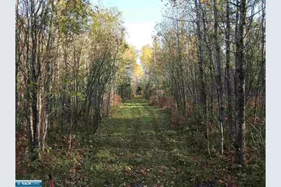 1961 Town Road 118, Birchdale, MN 56629 - Photo 12