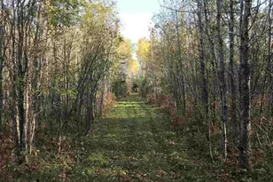 1961 Town Road 118, Birchdale, MN 56629 - Photo 12