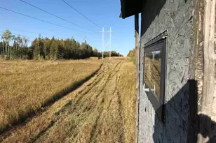 1961 Town Road 118, Birchdale, MN 56629 - Photo 34