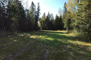 1961 Town Road 118, Birchdale, MN 56629 - Photo 22