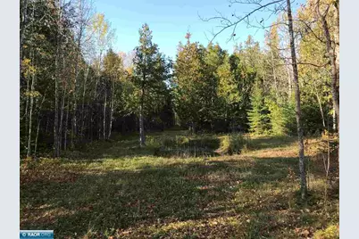 1961 Town Road 118, Birchdale, MN 56629 - Photo 26