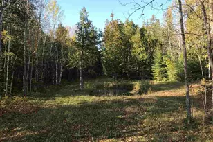 1961 Town Road 118, Birchdale, MN 56629 - Photo 26