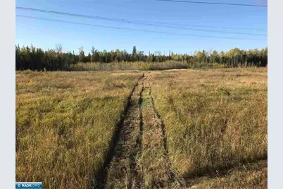 1961 Town Road 118, Birchdale, MN 56629 - Photo 32