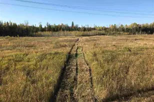 1961 Town Road 118, Birchdale, MN 56629 - Photo 32