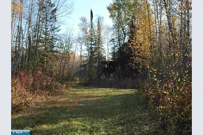 1961 Town Road 118, Birchdale, MN 56629 - Photo 16