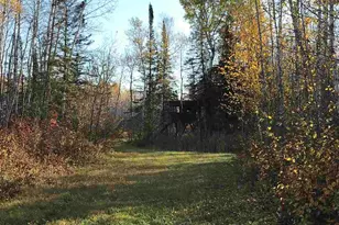 1961 Town Road 118, Birchdale, MN 56629 - Photo 16