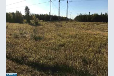 1961 Town Road 118, Birchdale, MN 56629 - Photo 36