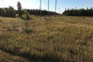 1961 Town Road 118, Birchdale, MN 56629 - Photo 36