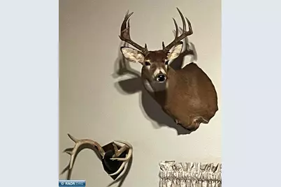 1961 Town Road 118, Birchdale, MN 56629 - Photo 40