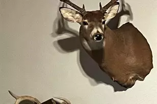 1961 Town Road 118, Birchdale, MN 56629 - Photo 40