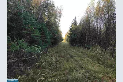 1961 Town Road 118, Birchdale, MN 56629 - Photo 24