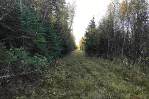 1961 Town Road 118, Birchdale, MN 56629 - Photo 24