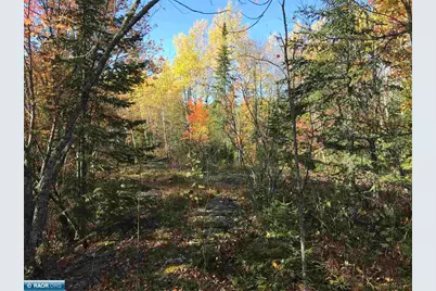 1961 Town Road 118, Birchdale, MN 56629 - Photo 28