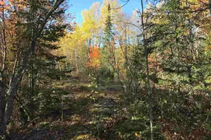 1961 Town Road 118, Birchdale, MN 56629 - Photo 28