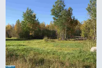 1961 Town Road 118, Birchdale, MN 56629 - Photo 30