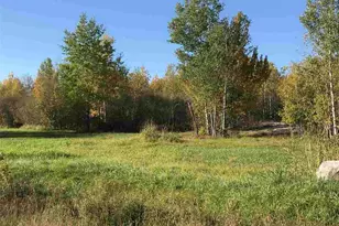 1961 Town Road 118, Birchdale, MN 56629 - Photo 30