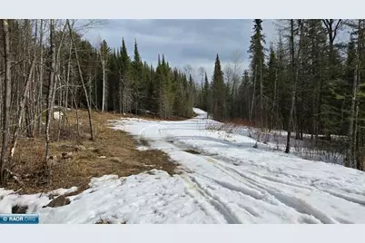 7316 Crane Lake Road, Crane Lake, MN 55725 - Photo 8