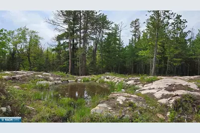 7316 Crane Lake Road, Crane Lake, MN 55725 - Photo 4