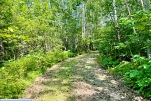 7542 Co Rd 422, Orr, MN 55771 - Photo 30