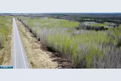 Tbd Hwy 115, Tower, MN 55790 - Photo 1