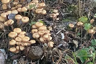 5876 Meander Lake Rd, Orr, MN 55771 - Photo 28