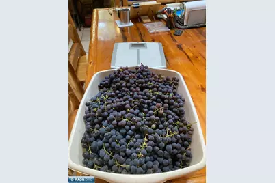 5876 Meander Lake Rd, Orr, MN 55771 - Photo 26