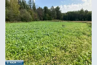 5876 Meander Lake Rd, Orr, MN 55771 - Photo 30