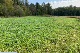 5876 Meander Lake Rd, Orr, MN 55771 - Photo 30