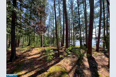 X Waters Island, Ely, MN 55731 - Photo 42