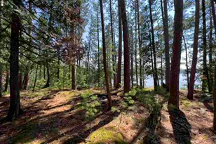 2928 Waters Is, Ely, MN 55731 - Photo 42