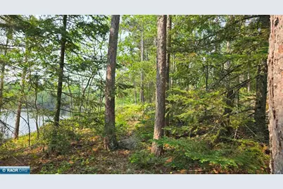 Xxx 11.85 Bessette Rd, Orr, MN 55771 - Photo 32
