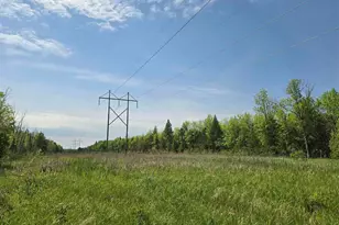Tbd Town Road 166, Littlefork, MN 56653 - Photo 1