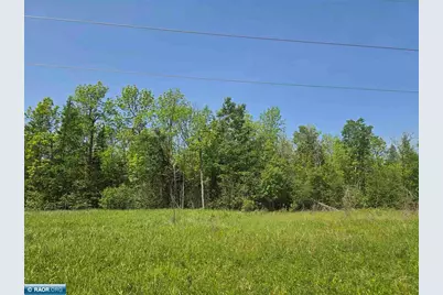 Tbd Town Road 166, Littlefork, MN 56653 - Photo 4