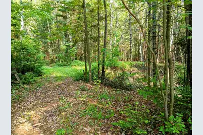 Tbd Long Lakes Shores Road, Eveleth, MN 55734 - Photo 1