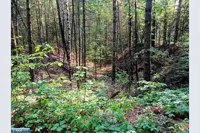 Tbd Long Lakes Shores Road, Eveleth, MN 55734 - Photo 8