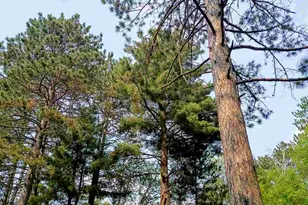 3997 Long Lake Shores Rd, Eveleth, MN 55734 - Photo 32