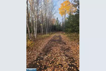 6342 Hwy 21, Embarrass, MN 55732 - Photo 6