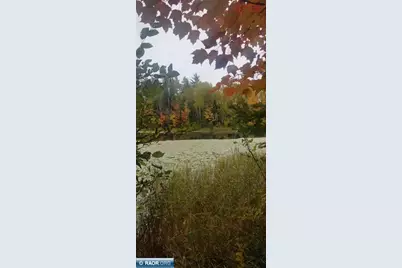 6342 Hwy 21, Embarrass, MN 55732 - Photo 4