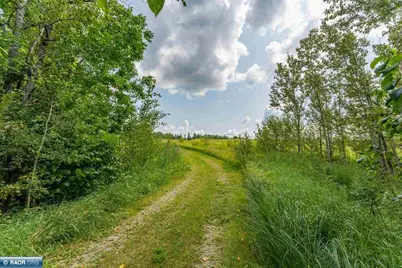 10705 Hwy 65, Gheen, MN 55771 - Photo 46